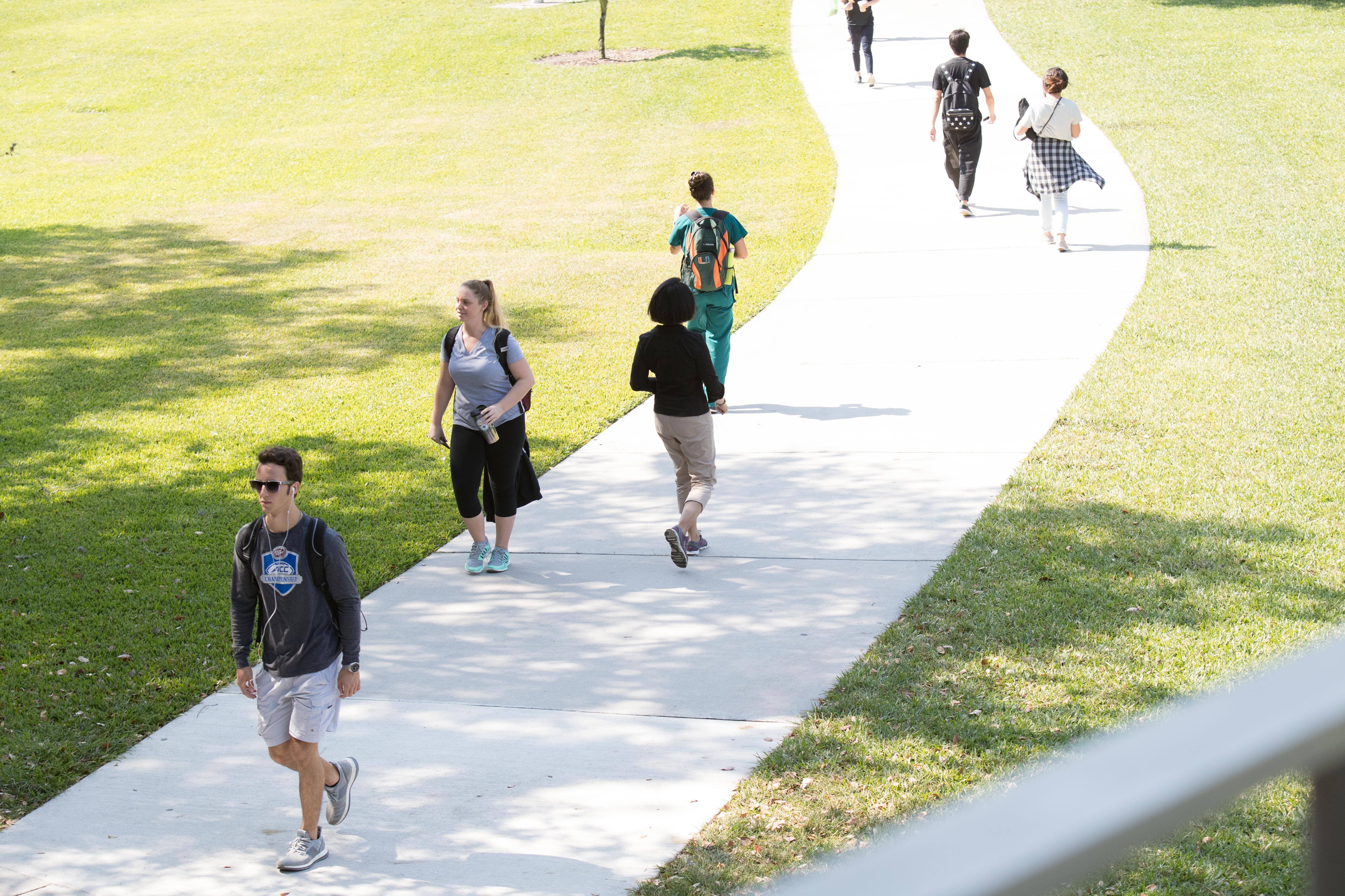 University of miami application essay