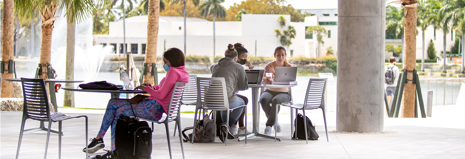 university of miami undergraduate number