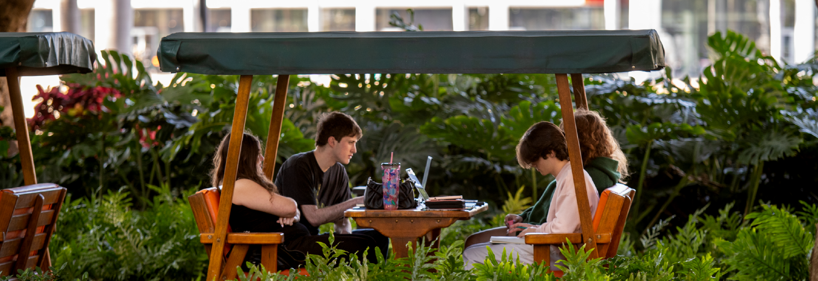 Students study on gliders.