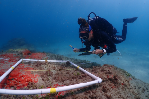 Rosenstiel School of Marine, Atmospheric, and Earth Science