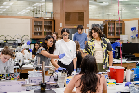 Neuroscience Lab.